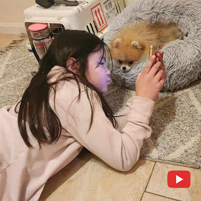 A news from New York(Thanks to Shiow)
