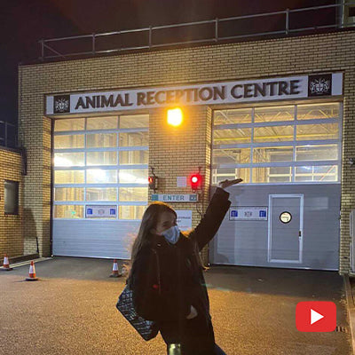 A news from London (Thanks to Yasmin)