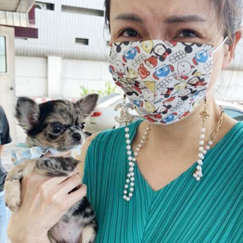 A news from Bangkok  (Thanks to Krittharawee)