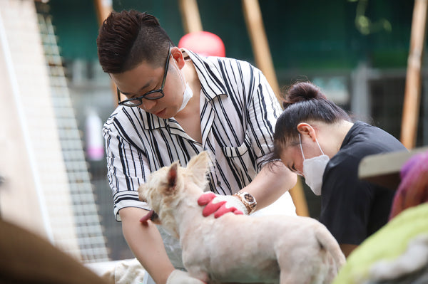 Dog and Cat Sales Pet Shop MINIPET Donates 500kg of Feed and 2 tons of Water to a Dog Shelter