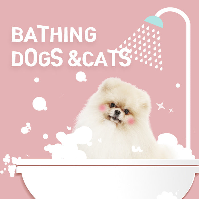 Bathing dogs &cats