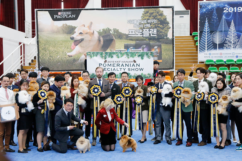 MINIPET Continues Sponsorship to Advance Korean Pet System