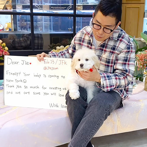 A news from New York (Thanks to Jie)