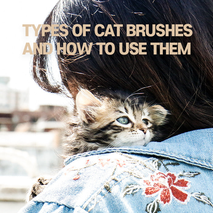 Types of cat brushes and How to use them