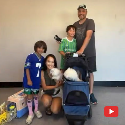 A news from Seattle (Thanks to Thanh)