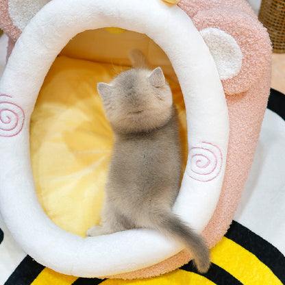 British Shorthair - Poko (Male)