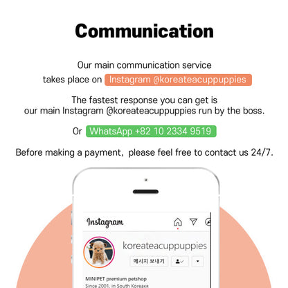 Pomeranian - Yuyu (Female) $5200