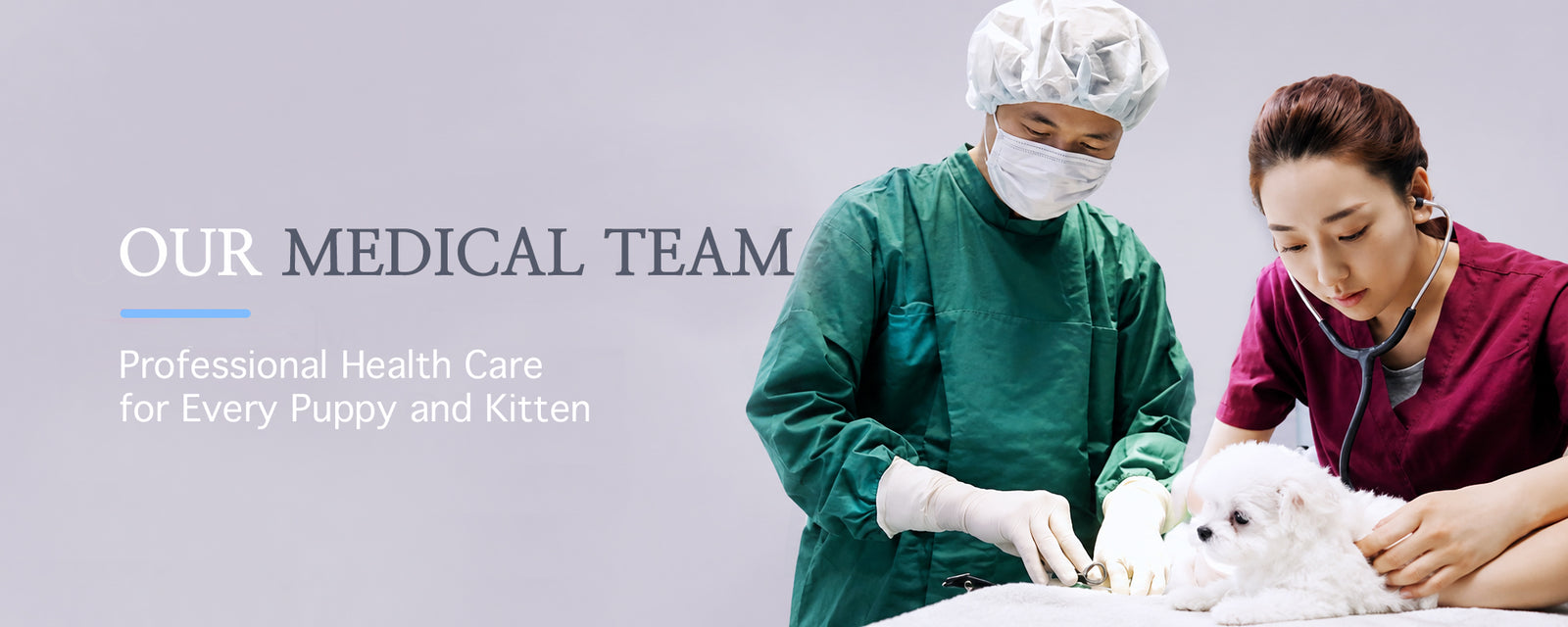 Promotional banner