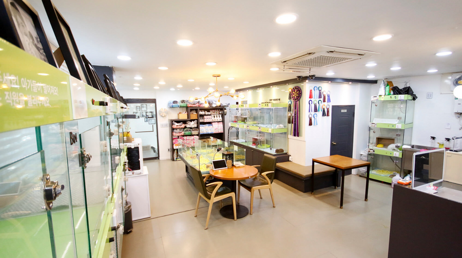 Gallery image