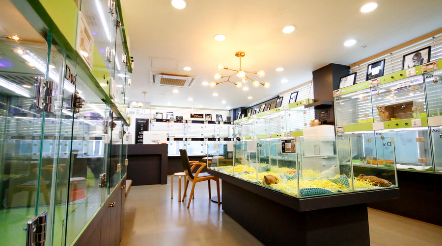 Gallery image