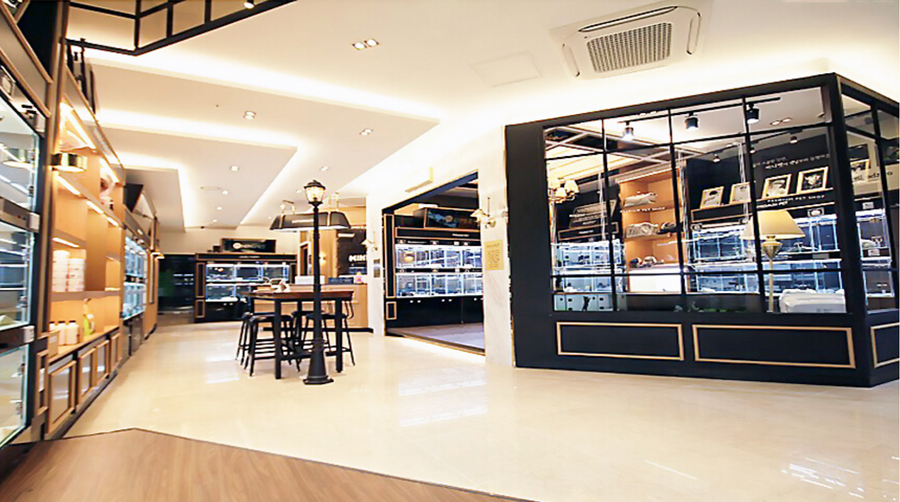 Gallery image