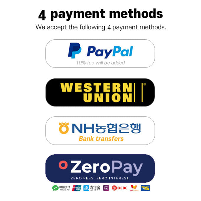 Bichon Frise - Bita (Male)