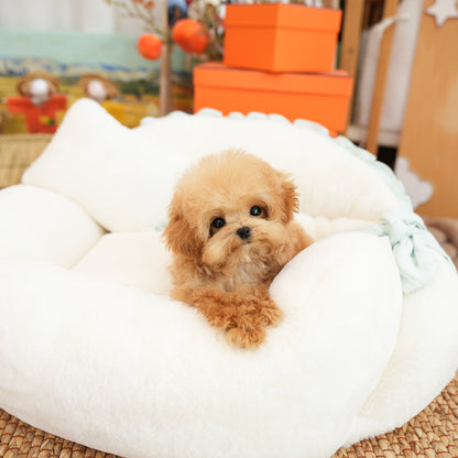 Poodle - Kkuni (Male) $2400