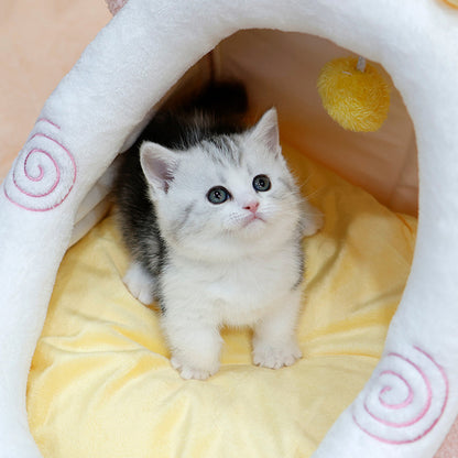 Munchkin - Kkorang (Male)