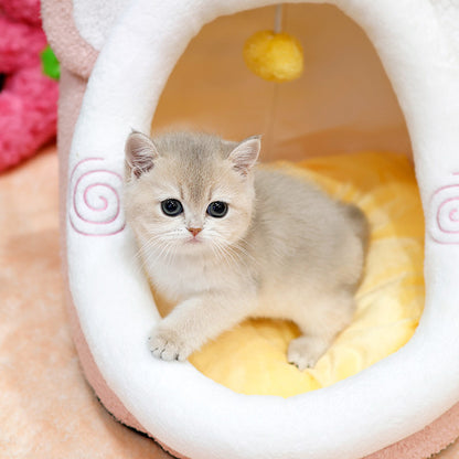 British Shorthair - Moreu (Female)